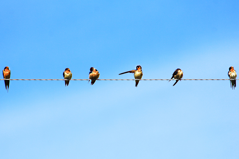 Honourable Mention Ray Holmberg